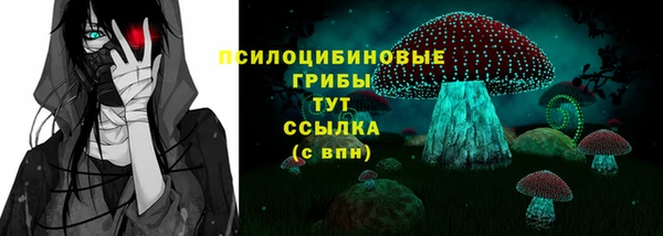 ПСИЛОЦИБИНОВЫЕ ГРИБЫ Армянск