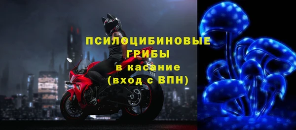 гашик Арсеньев