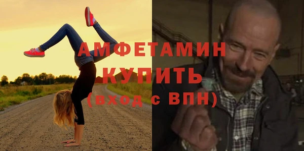 ГАЛЛЮЦИНОГЕННЫЕ ГРИБЫ Аркадак