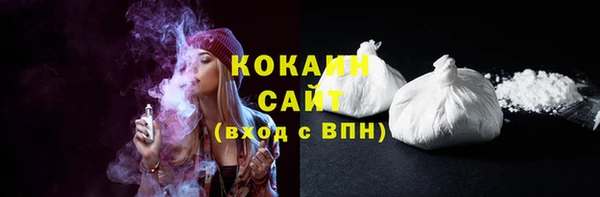 гашик Арсеньев