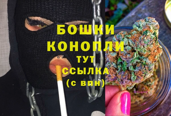 гашик Арсеньев
