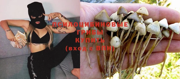 ПСИЛОЦИБИНОВЫЕ ГРИБЫ Армянск