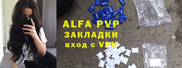 ГАЛЛЮЦИНОГЕННЫЕ ГРИБЫ Аркадак