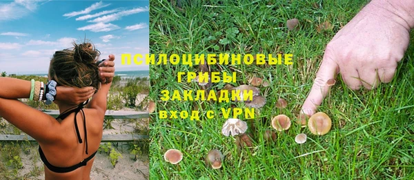 гашик Арсеньев