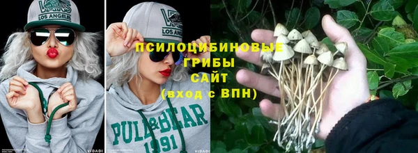 ГАЛЛЮЦИНОГЕННЫЕ ГРИБЫ Аркадак