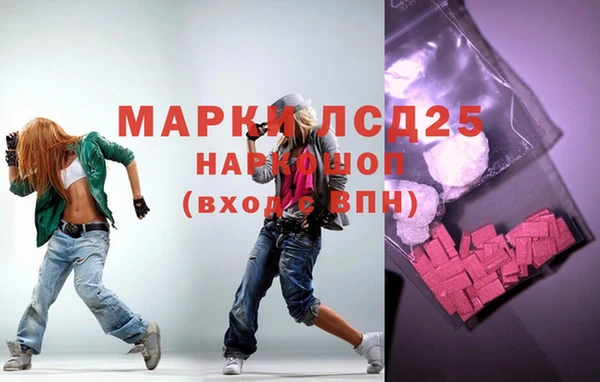 ГАЛЛЮЦИНОГЕННЫЕ ГРИБЫ Аркадак