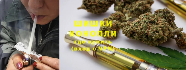 гашик Арсеньев