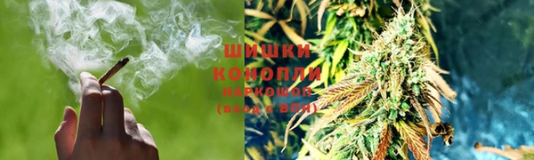 ГАЛЛЮЦИНОГЕННЫЕ ГРИБЫ Аркадак