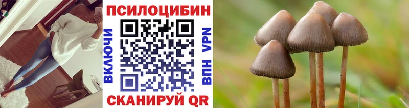kraken сайт  Валдай  Галлюциногенные грибы Psilocybine cubensis 